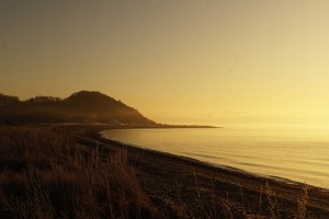 Strand (7)     