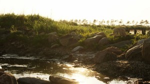 water        